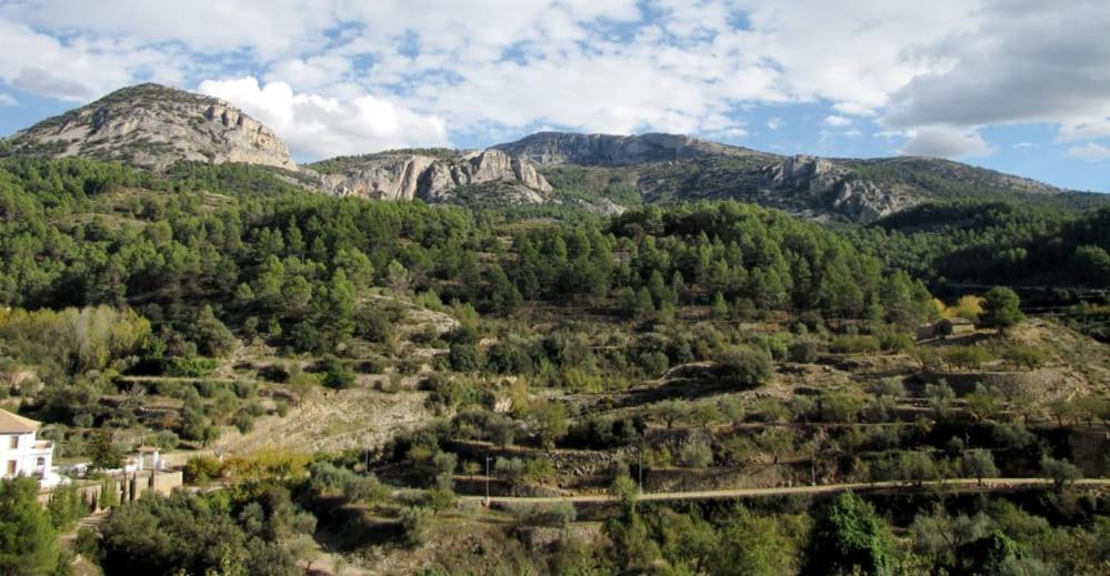 Casa Malferit Hostel Alcoleja Стая снимка